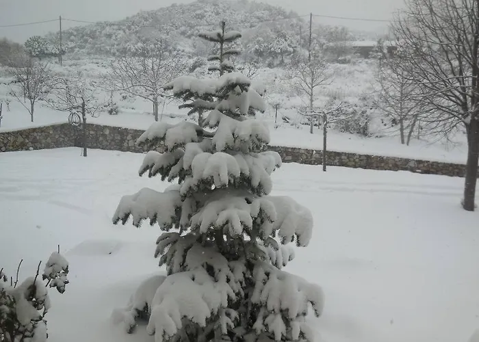 Villa κτήμα φτελιά *